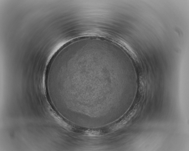 X0000111860788200907301130