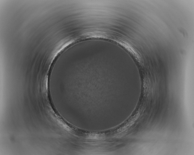 X0000111860790200907301130