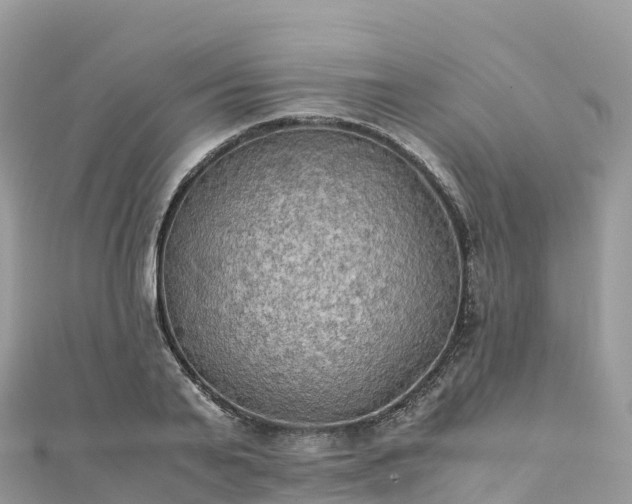 X0000111860791200907301130