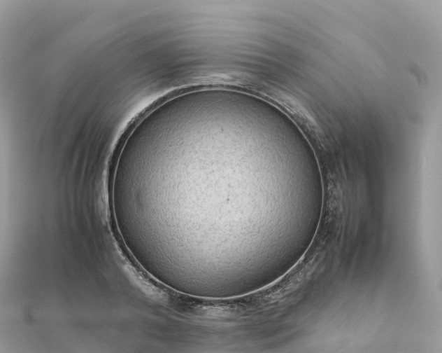 X0000111860792200907301130