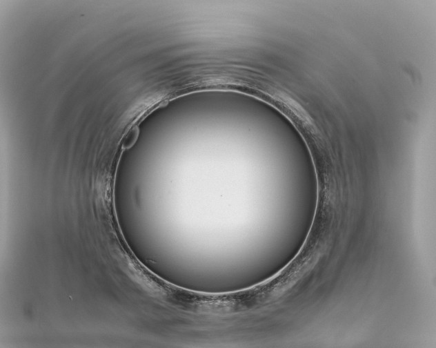 X0000111860793200907301130