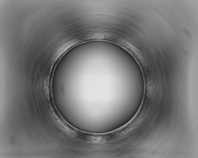 X0000111860794200907301130