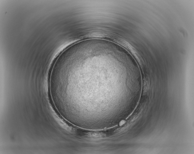 X0000111860795200907301130