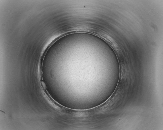 X0000111860796200907301130