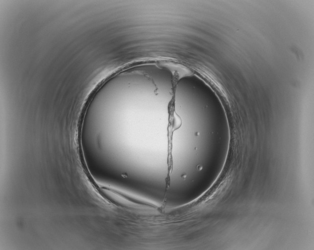 X0000111860797200907301130