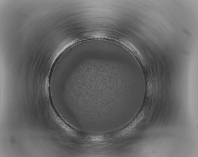 X0000111860798200907301130