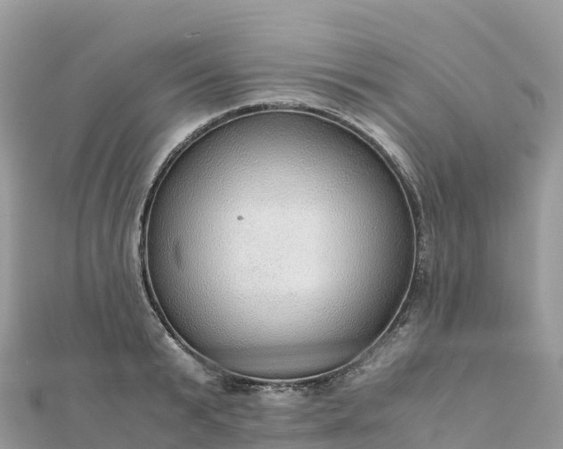 X0000111860799200907301130