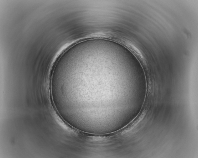 X0000111860800200907301130