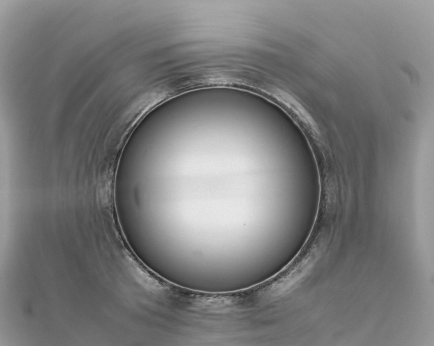 X0000111860801200907301130