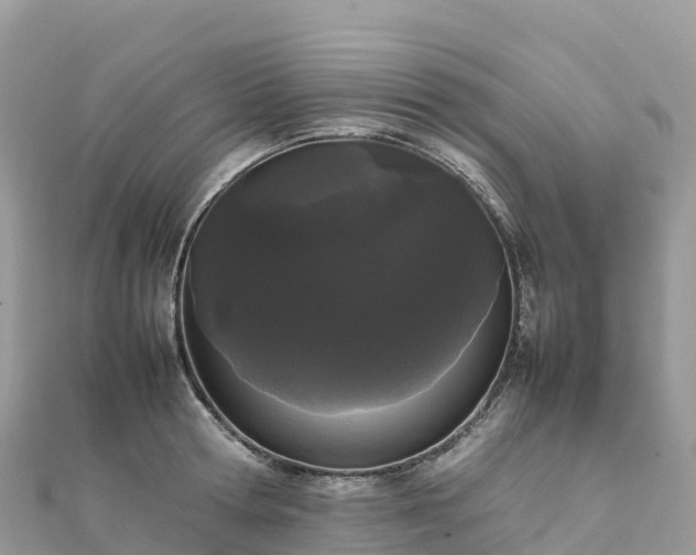 X0000111860802200907301130