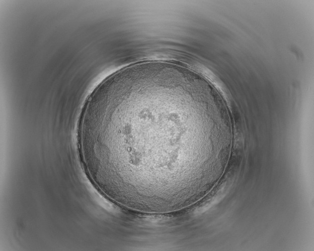 X0000111860803200907301130