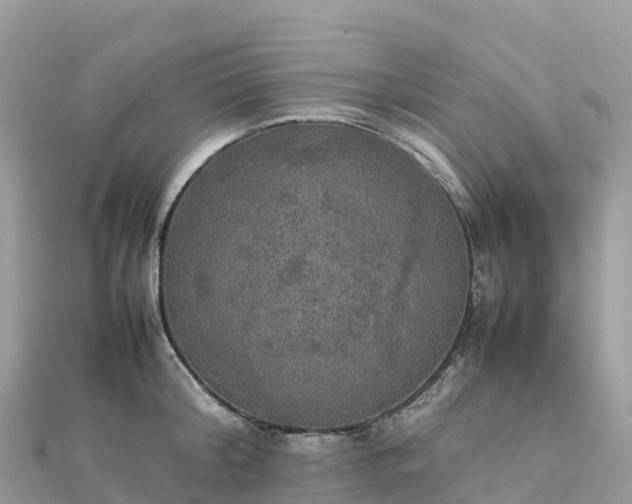 X0000111860804200907301130