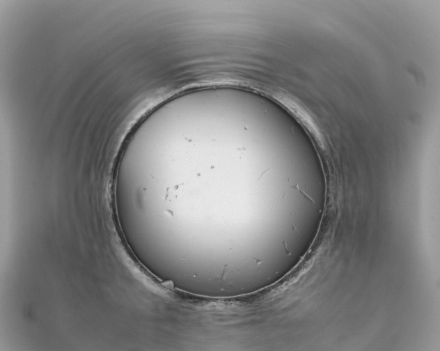 X0000111860805200907301130