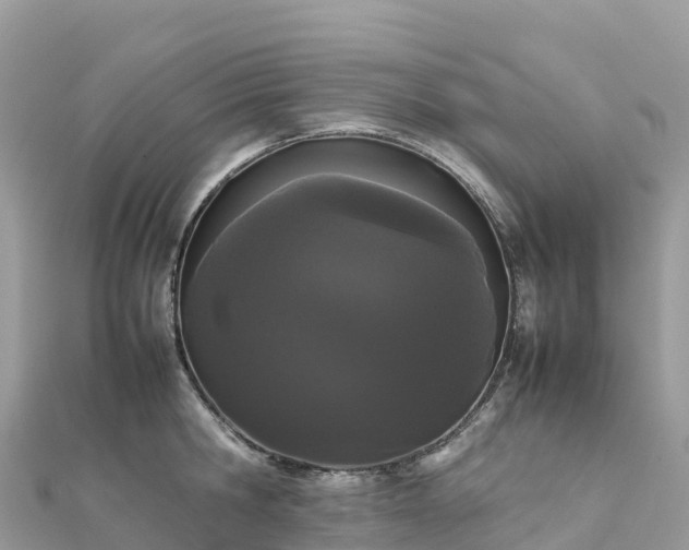 X0000111860806200907301130