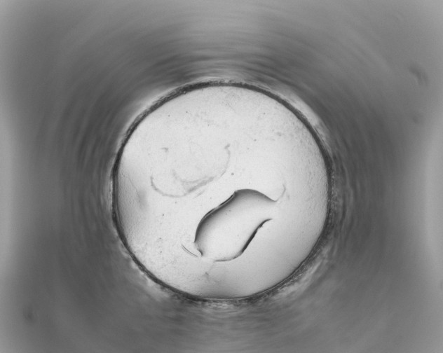 X0000111860807200907301130