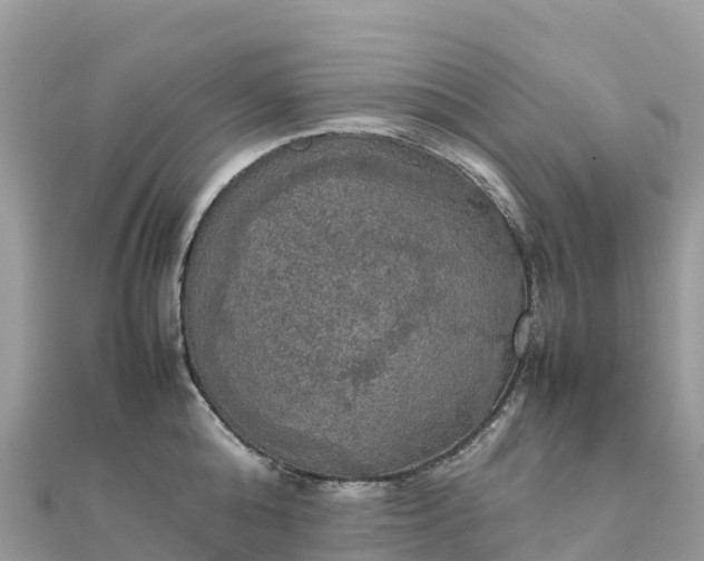 X0000111860808200907301130