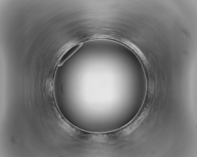 X0000111860809200907301130