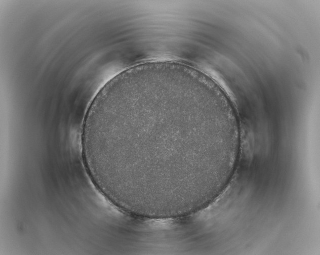 X0000111860810200907301130