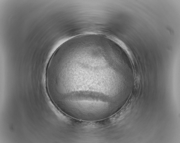 X0000111860811200907301130