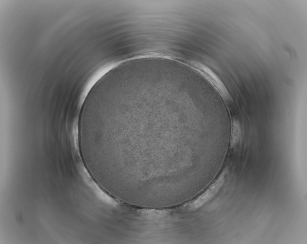 X0000111860812200907301130