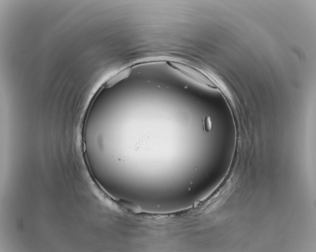 X0000111860813200907301130