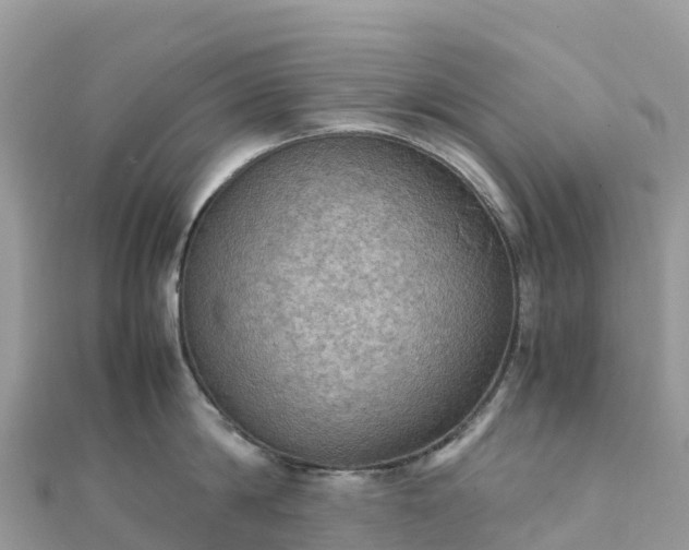 X0000111860814200907301130