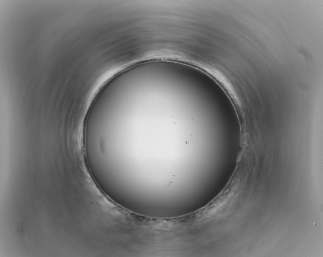 X0000111860815200907301130