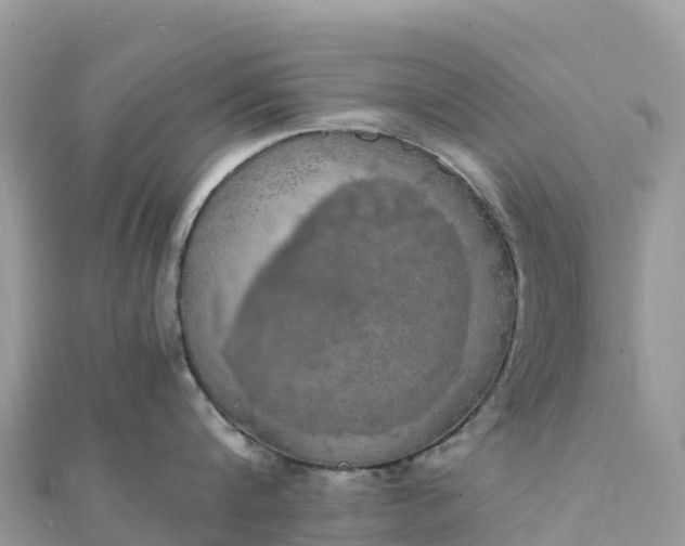 X0000111860816200907301130