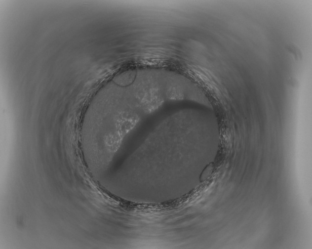 X0000111860817200907301129