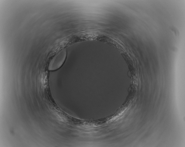 X0000111860818200907301129