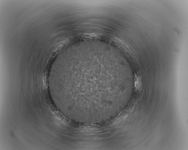 X0000111860819200907301129