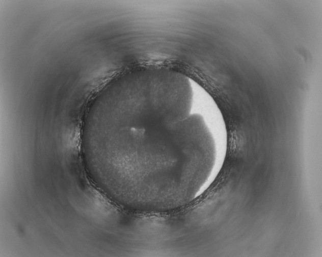 X0000111860820200907301129