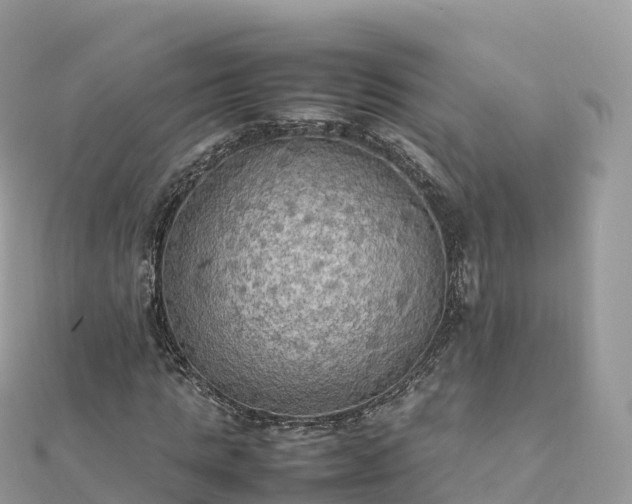 X0000111860821200907301129