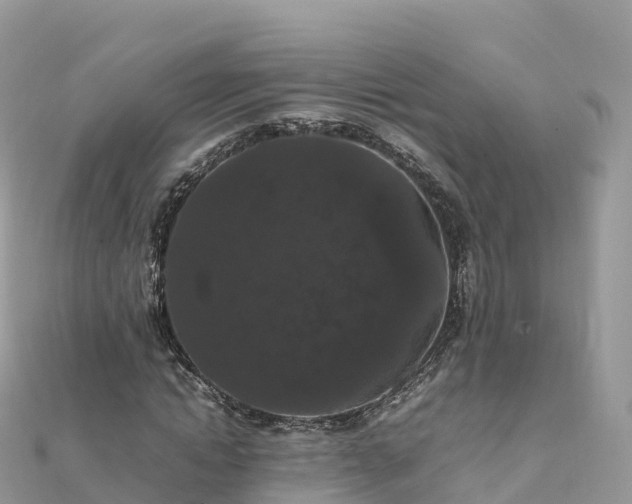 X0000111860822200907301129