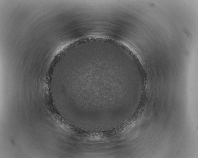 X0000111860823200907301129