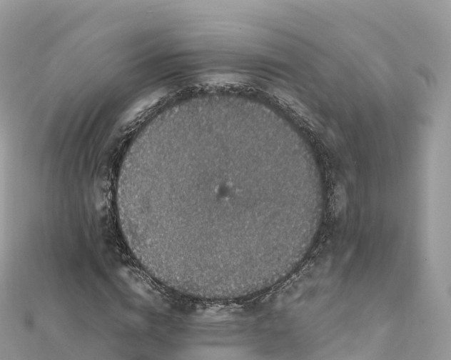 X0000111860824200907301129