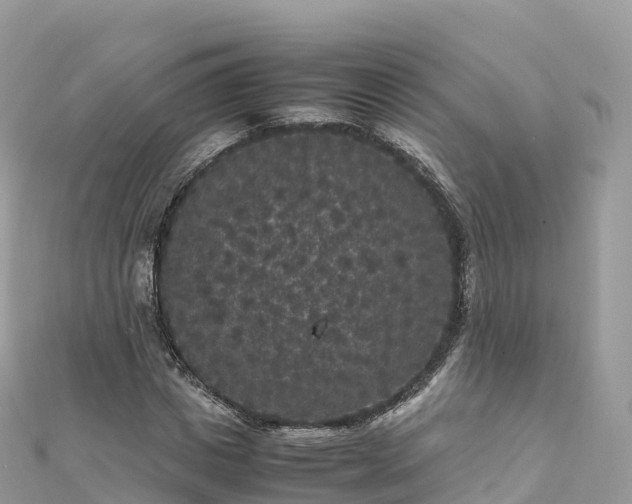 X0000111860825200907301129