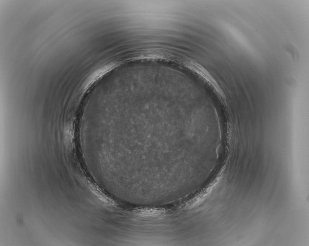 X0000111860826200907301129