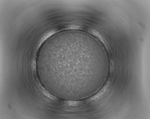 X0000111860827200907301129