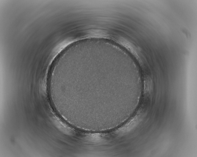 X0000111860828200907301129