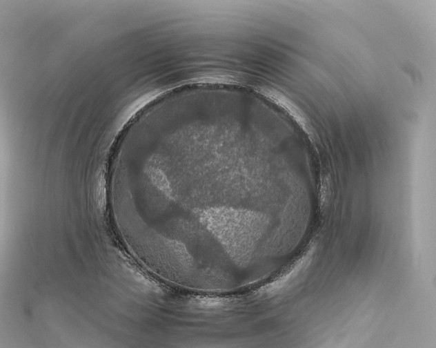 X0000111860829200907301129