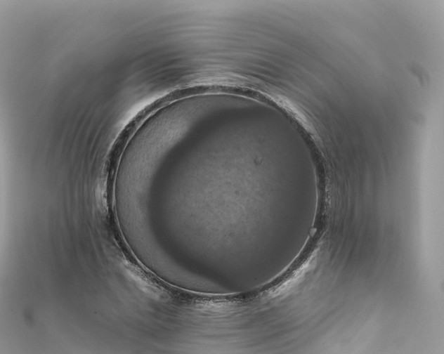 X0000111860830200907301129