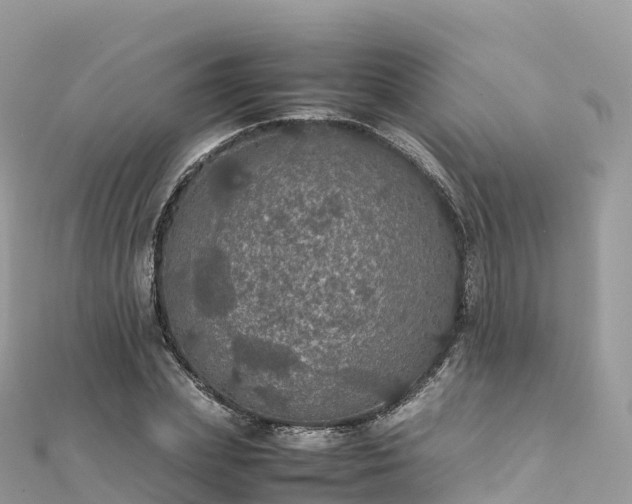 X0000111860831200907301129