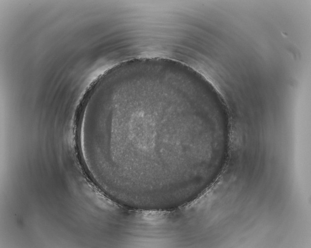 X0000111860832200907301129