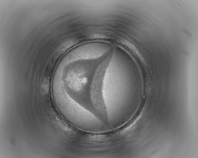 X0000111860833200907301129