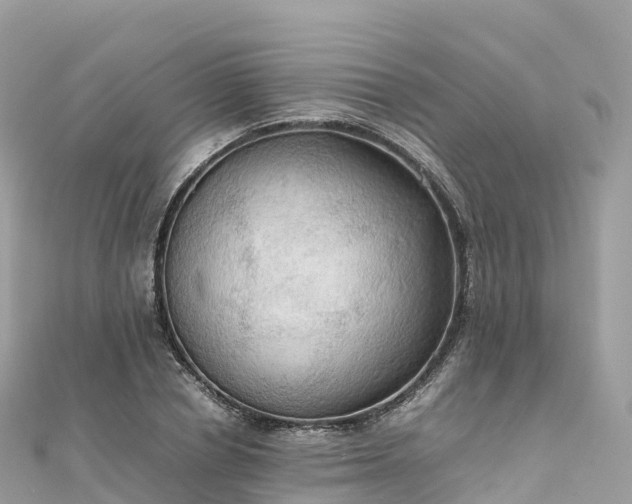 X0000111860834200907301129