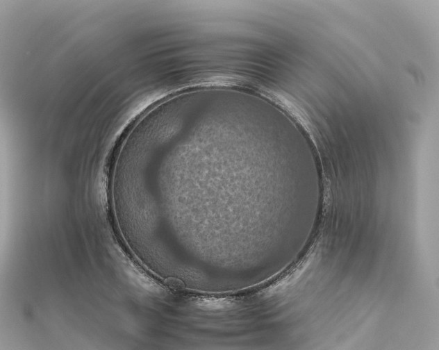 X0000111860835200907301129