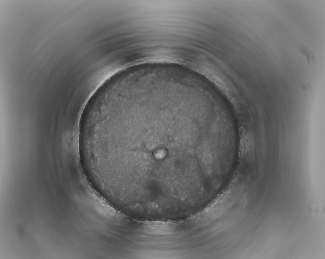 X0000111860836200907301129