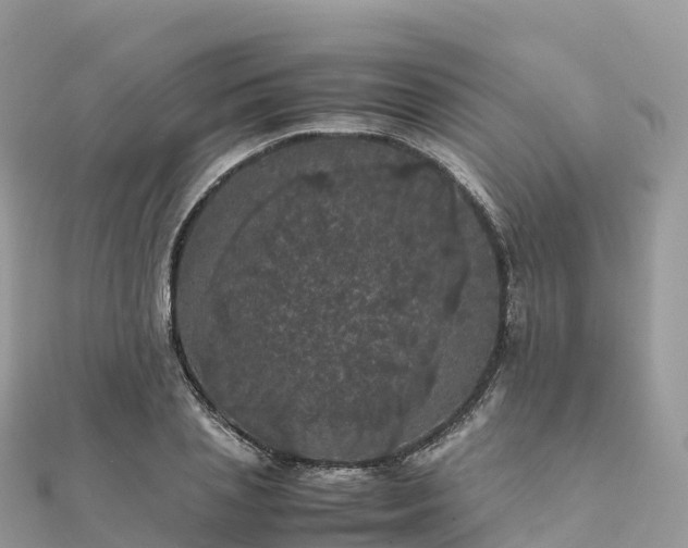 X0000111860837200907301129