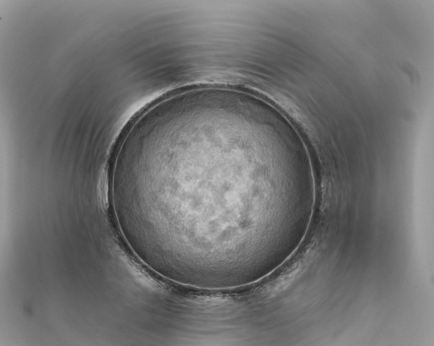 X0000111860838200907301129